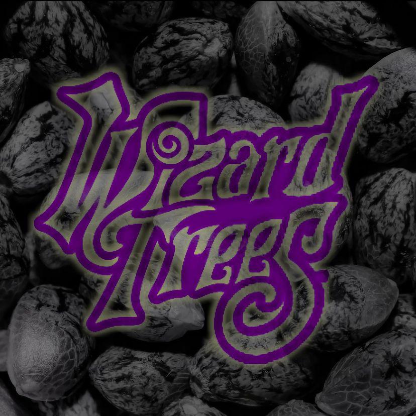 wizard trees