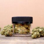 Keep Your Cannabis Fresh Longer